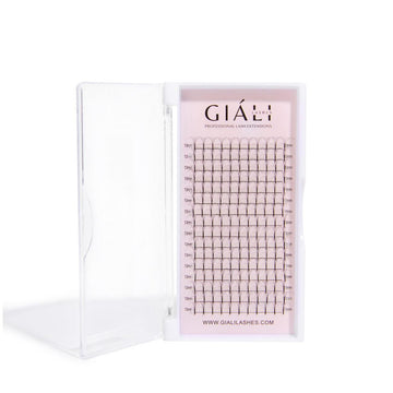 Giáli Lashes 5D Long Stem Premade Volume Fans Lash Tray-Giali Lashes